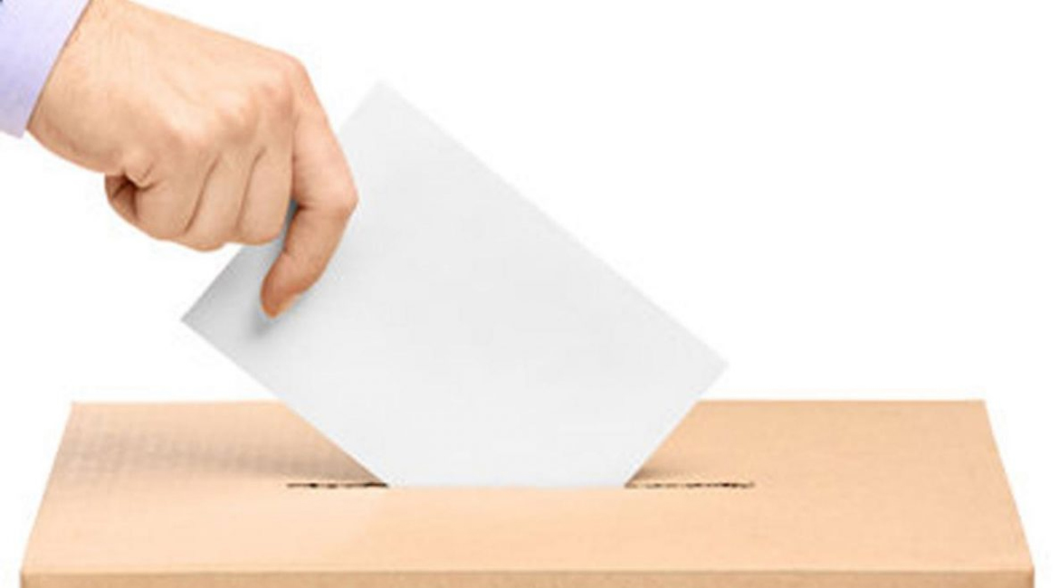 Ausschusswahlen 2023