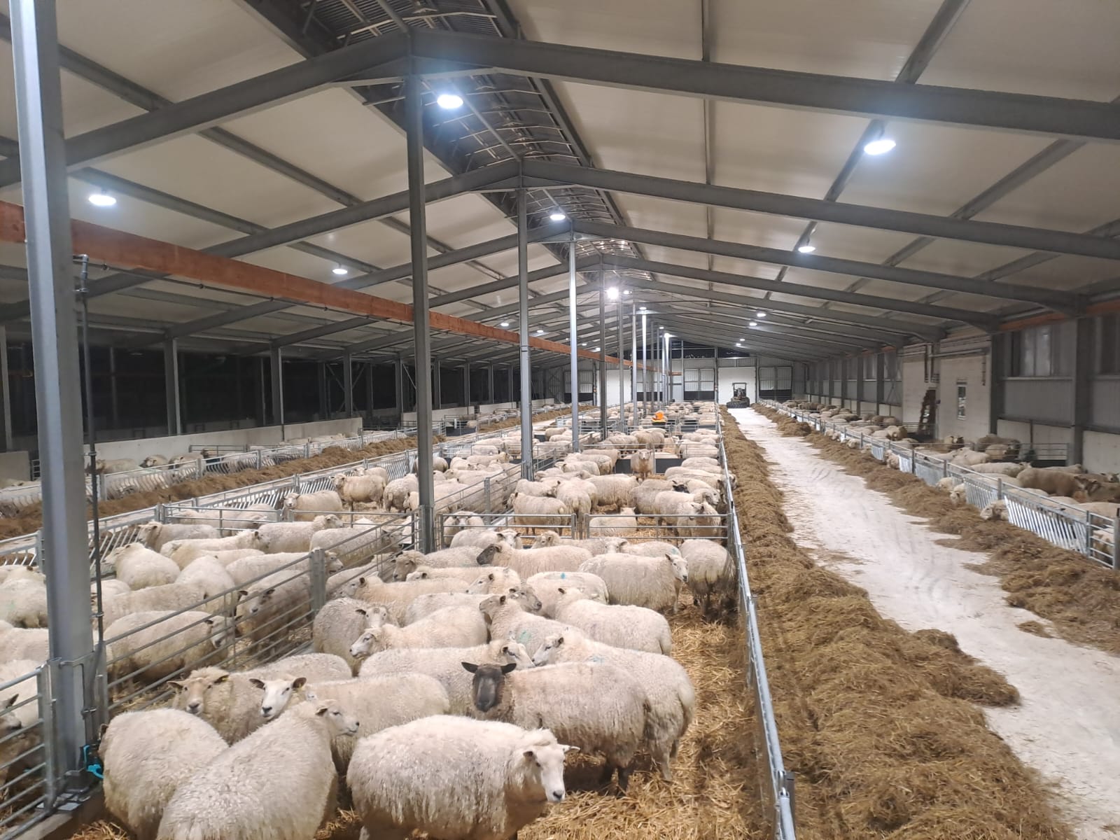 Unsere neue Deichschäferei ist in Betrieb